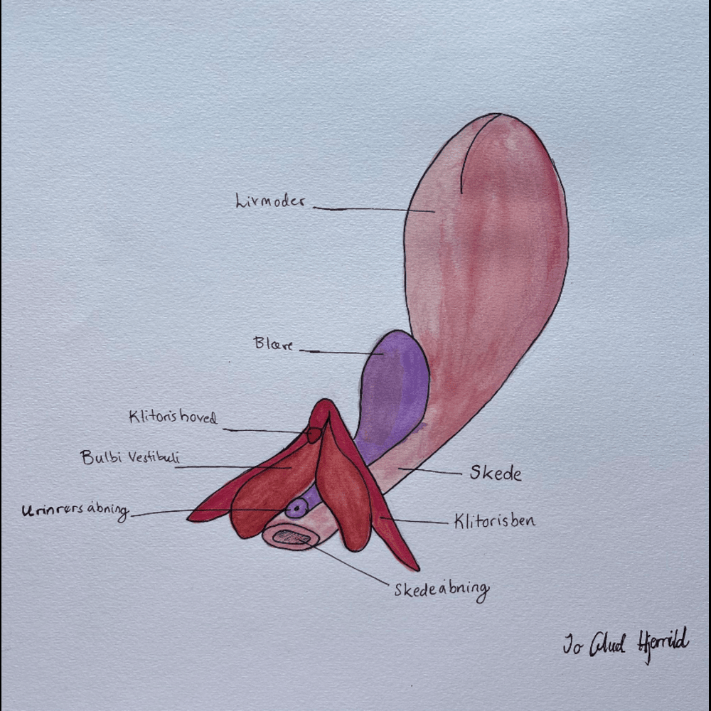 What is the G-spot/zone? | PEECH – Peech