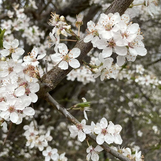 Sådan bliver du bedre til at sige, hvad du gerne vil have under sex