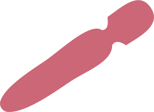 The story of the Magic Wand