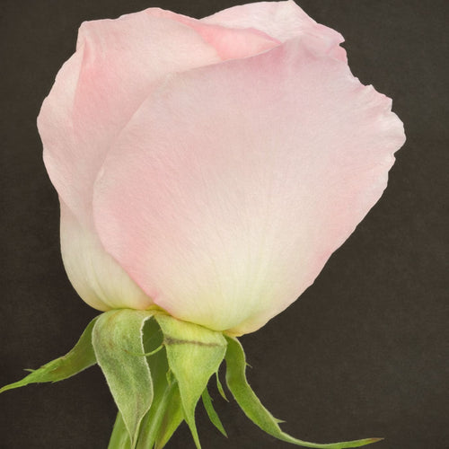 5 date ideas for Valentine's Day