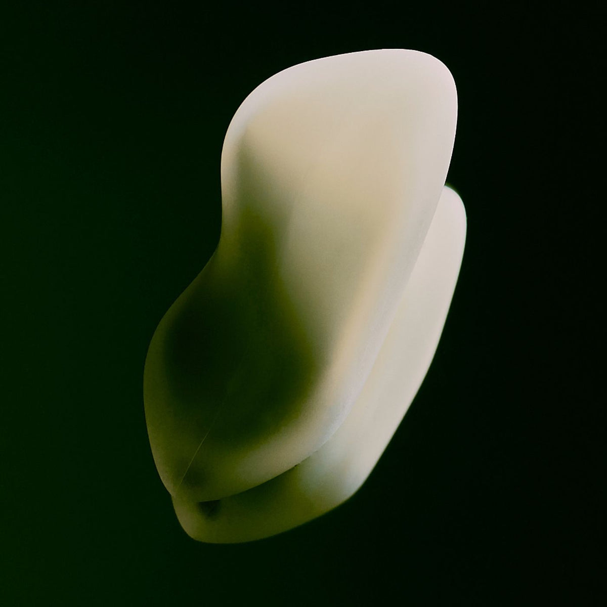 Nærbillede af Sitre New Heights vibrator med skulpturelt, asymmetrisk design